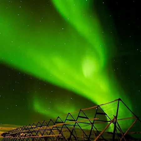 Design By The Sea With Northern Lights *